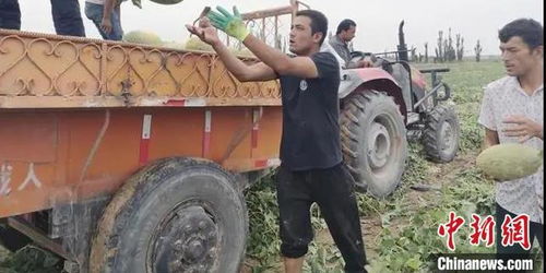 深圳助力喀什农副产品出疆，销售额达1.8亿元助力乡村振兴