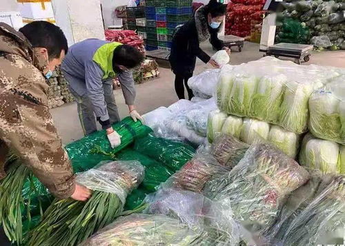 我县严把准入关，力保春节“菜篮子”量足价稳