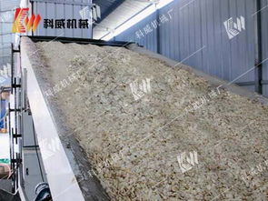 高效农副产品干燥新选择——解析郑州科威大蒜烘干机的自动铺料技术