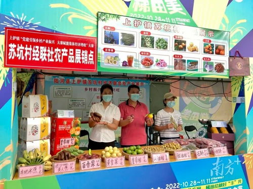 赏梯田美景，购地道风物 陆河上护镇农副产品展销大赛火热进行